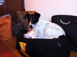 Sonja in de weekendtas