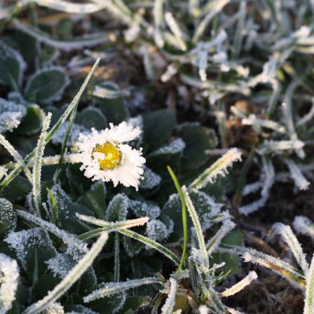 Is het nou lente of winter?