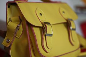 tas van dress republic