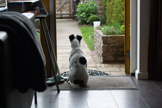 Sonja zit op de uitkijk