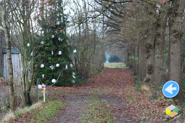 grote boom met ballen