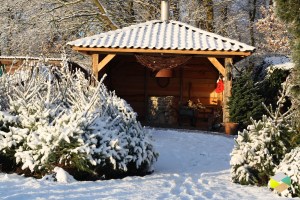 kerstbomenTiendeveen