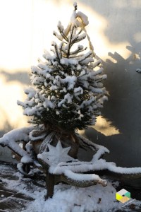 kerstboomindensneeuw