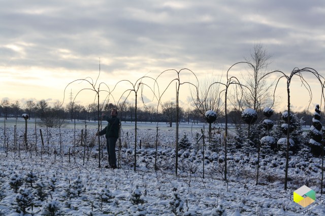 aan het einde vd middag