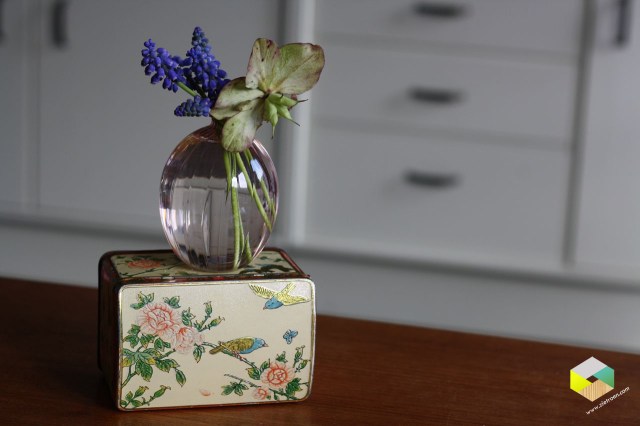 vaasje met blauwe druifjes en helleborus