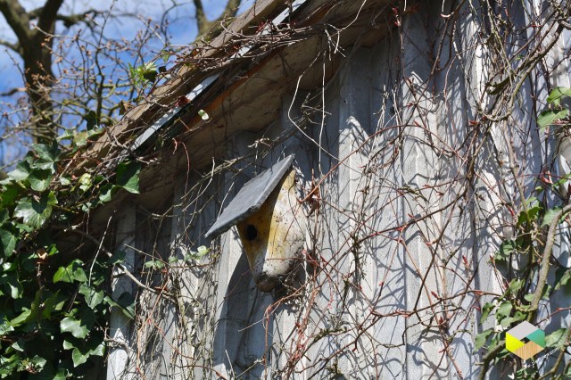 vogelhuisje in klomp