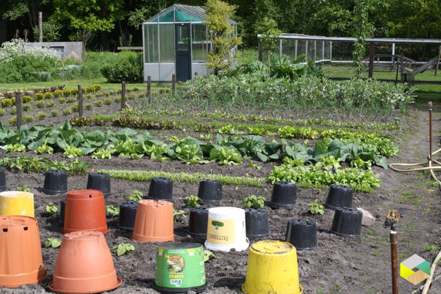 emmers over de plantjes ivm de vorst