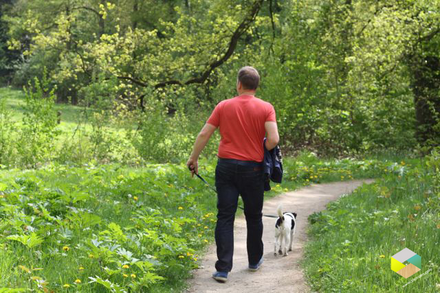 wandelen bij de Wilmersberg