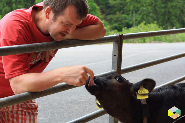 tong als schuurpapier