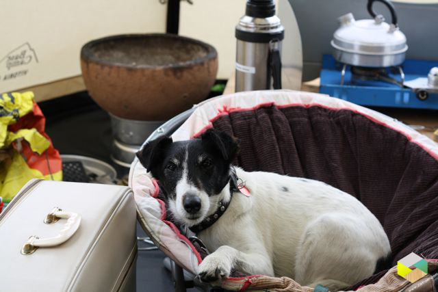 tussen de koffers en de bbq