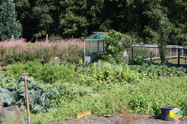 moestuin in augustus