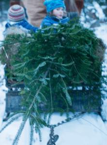 5ee95e5c0109098b5a2c8592b73ef8ff